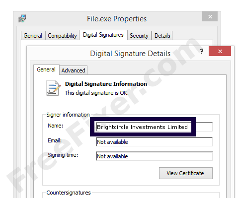 Screenshot of the Brightcircle Investments Limited certificate